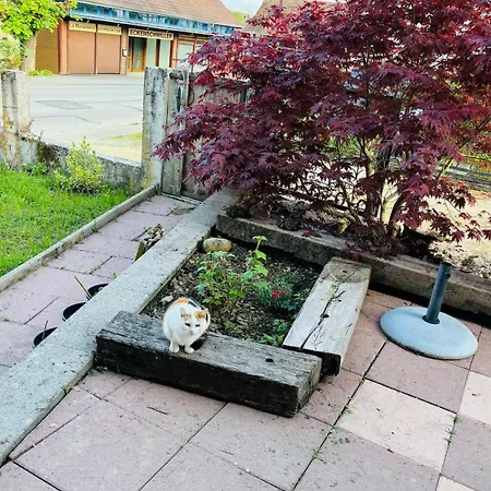 Maison Individuelle A * Ueberstrass